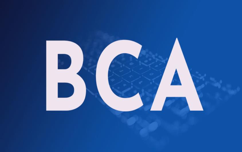 Course - B L Soni College Bhilwara